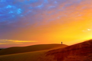 Открытка: В пустыне