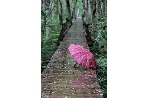 Открытка: Зонтик на мостике