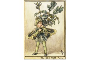 Открытка: Box Tree Fairy