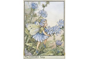 Открытка: Chicory Fairy