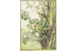 Открытка: Elm Tree Fairy