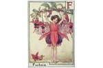 Почтовая открытка Fuchsia Fairy