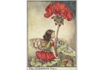 Открытка: Geranium Fairy