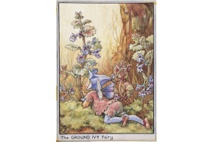 Открытка: Ground Ivy Fairy