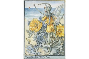 Открытка: Horned Poppy Fairy