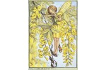 Открытка: Laburnum Fairy