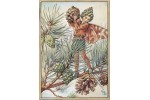 Открытка: Pine Tree Fairy