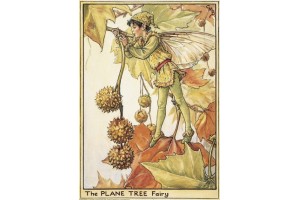 Открытка: Plane Tree Fairy