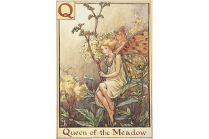 Почтовая открытка Queen of the Meadow Fairy
