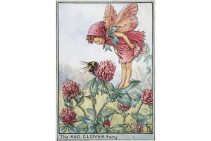 Открытка: Red Clover Fairy