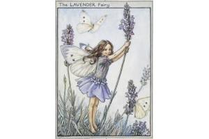 Открытка: The Lavender Fairy