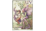 Почтовая открытка Vetch Fairy