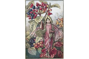 Открытка: Wayfaring Tree Fairy