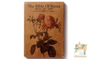 Набор из 24 крафт открыток: Библия роз