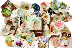Набор из 46 наклеек: Суккуленты