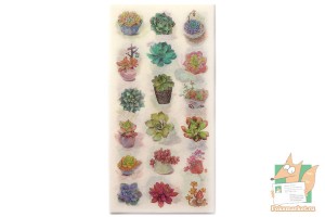 Набор наклеек из 6 листов: Суккуленты