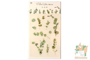 Набор наклеек: Гербарий зеленый