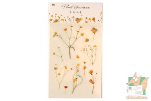 Набор наклеек: Гербарий желтый