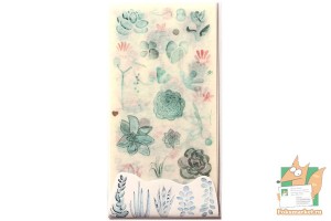 Набор наклеек из 6 листов: О суккулентах