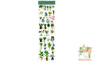Наклейки, лист 35см: Комнатные растения