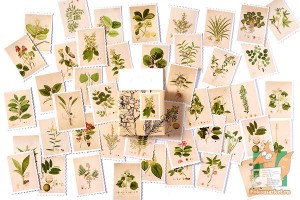 Набор из 45 наклеек в виде марок: Ботаническая иллюстрация