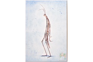 Открытки студии Pixar: Bugs Life