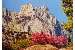 Открытка: Ай Петри