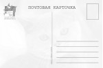 Открытка: Кот с рыжими глазами