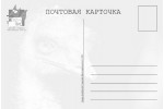 Открытка: Страус