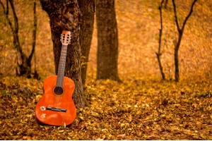 Открытка: Гитара в лесу