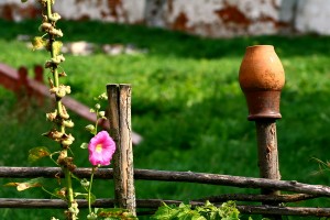 Открытка: Кувшин