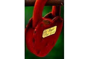 Открытка: Красный замок