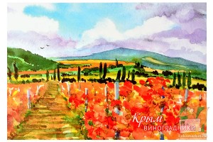 Открытка: Виноградники