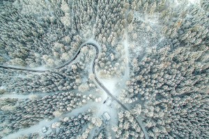 Открытка: Дорога в заснеженном лесу