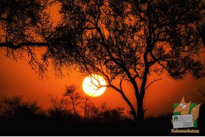 Открытка: Закат