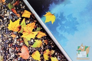 Почтовая открытка №120