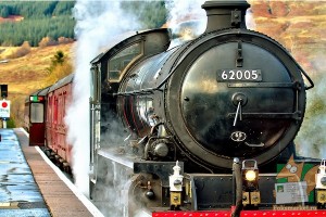 Почтовая открытка №147