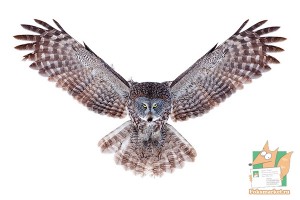 Почтовая открытка №165