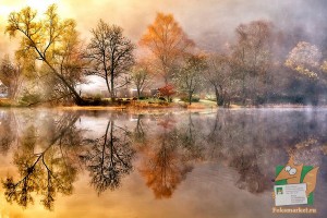 Почтовая открытка №171