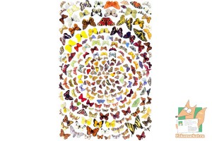 Почтовая открытка №173