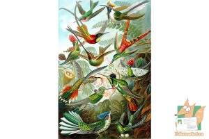 Почтовая открытка №175