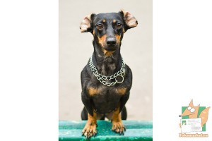 Почтовая открытка №186