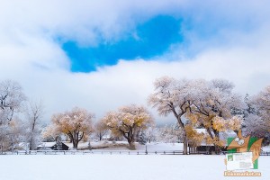 Почтовая открытка №188