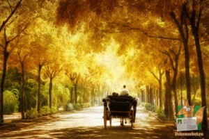 Почтовая открытка №197