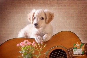 Почтовая открытка №204