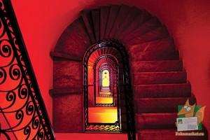 Почтовая открытка №217