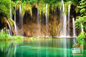 Почтовая открытка №43