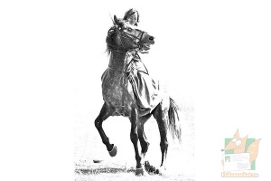 Почтовая открытка №58