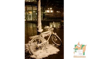 Почтовая открытка №65