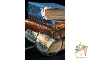 Почтовая открытка №75